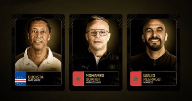 استبعاد حسام حسن ومدرب بيراميدز من القائمة النهائية لمدرب العام