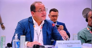 كجوك: مصر تستثمر في المستقبل بمشروعات تنموية أكثر استدامة وتكيفا مع المناخ