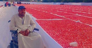 مهندس زراعى من ذوى الهمم يشرف على موسم تجفيف الطماطم