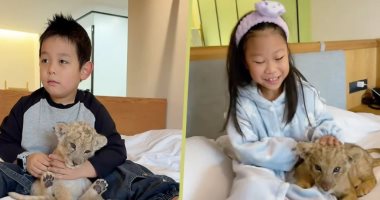 هل تتخيل أن يُوقظك شبل أسد؟ فندق صيني يفعلها مقابل 88 دولارا.. صور