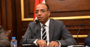 عضو بالشيوخ: توجيهات الرئيس للهيئة الوطنية للانتخابات تعزز الثقة فى المسار الديمقراطي