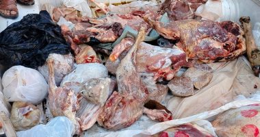 بيطرى الشرقية ينفذ 47 حملة تفتيشية ويضبط 93 طن لحوم غير صالحة 