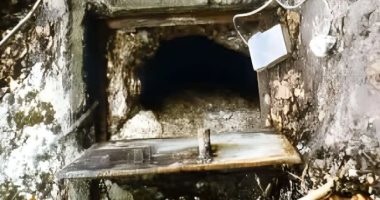 روابط حمض نووى تكشف عن عائلة ألمانية امتدت لـ 3000 عام