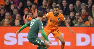 مباراة هولندا ضد ليتوانيا