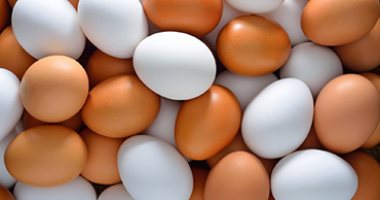 البيضة بـ4 جنيهات.. أسعار البيض بكفر الشيخ اليوم الإثنين 17 نوفمبر 2025