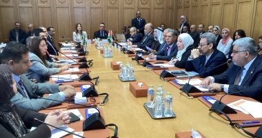 الجامعة العربية تطلق مبادرة التضامن من أجل المستقبل لدعم البحث العلمي