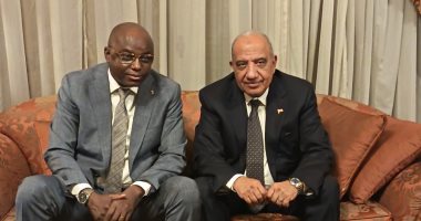 وزير الكهرباء يبحث مع وزير المياه والطاقة بجمهورية تشاد سبل التعاون