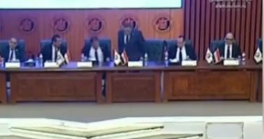 ماذا حدث فى الانتخابات ولماذا قررت الهيئة الوطنية إلغاء 19 دائرة؟ فيديو