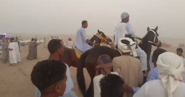 اليوم السابع يوثق حكايات ومغامرات هواة الفروسية بجبال أسوان.. يقطعون عشرات الكيلو مترات فى بطون الجبال والأودية.. يتعرضون لمخاطر الخيل الجامحة والمبيت فى العراء والظلام.. وتتويج الفرسان فى نهاية المرماح.. صور
