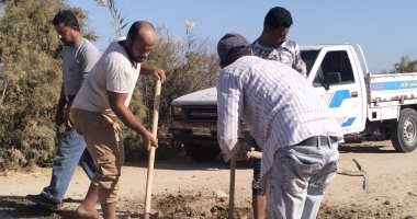 رئيس مياه القناة: إعادة الخدمة لقرية جلبانة بعد استخراج جذور الأشجار من المواسير