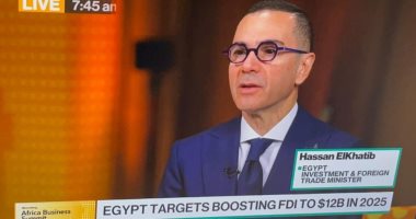 وزير الاستثمار لبلومبرج: نعمل على استعادة تدفقات الاستثمار الأجنبي المباشر