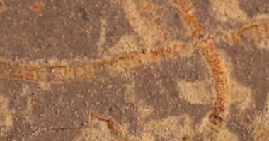 دراسة جديدة تكشف أقدم بصمة كيميائية للحياة على الأرض قبل 3.3 مليار سنة