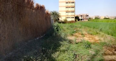 مدينة الأقصر تسترد حالتين تعد على أرض أملاك دولة على مساحة 5 قيراط و12 سهم