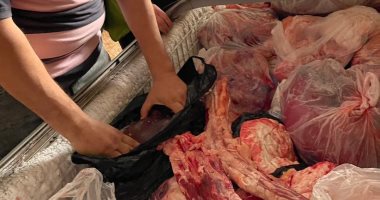 ضبط 5.4 طن دجاج وشاورما غير صالحة للاستهلاك فى الدقهلية