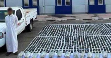 مقتل 6 عناصر خطرة وضبط 750 كيلو مخدرات