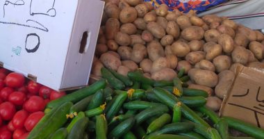 الطماطم بـ5 جنيهات والليمون بـ20.. أسعار الخضراوات والفاكهة بالوادى الجديد اليوم