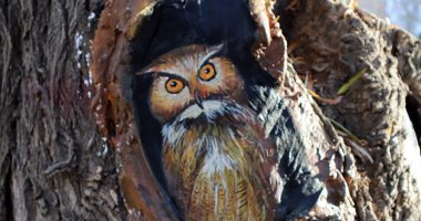 غابات بريشة فنان.. تجميل الحدائق فى الصين لجذب الزوار 