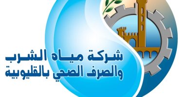 مياه القليوبية عن فيديو متداول لموظفة بالتعدى عليها: لا يعكس الحقيقة