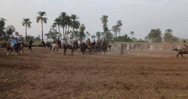 فى كل منزل خيال.. الشيخية قرية تحافظ على تنظيم فعاليات مرماح الخيل بقنا منذ قرن