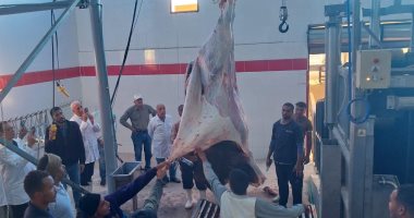 التنمية المحلية: تشغيل تجريبى لمجزرى الحبيل والهو بالأقصر وقنا