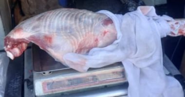 محافظ أسيوط: تكثيف الحملات التموينية على المخابز والأسواق لضبط الأسعار