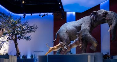 ولى عهد أبوظبى يفتتح متحف التاريخ الطبيعى فى المنطقة الثقافية فى السعديات