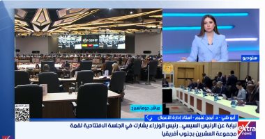 أستاذ إدارة الأعمال: الدبلوماسية الاقتصادية المصرية استعادت دورها الريادى