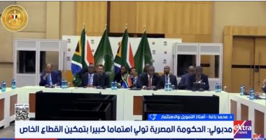 أستاذ تمويل: مشاركة مصر بقمة العشرين تعكس ثقلها الدولي والإقليمي