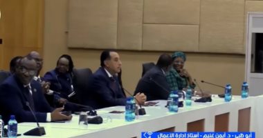 أيمن غنيم: مصر تقود دبلوماسية الجنوب بقمة العشرين وتستعيد ريادتها