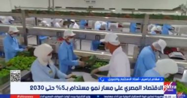 أستاذ تمويل: الاقتصاد المصري متنوع والقطاع الخاص يقود قاطرة النمو