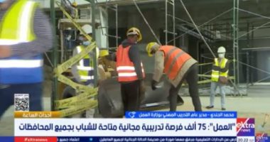 وزارة العمل: 75 ألف فرصة تدريب مجانية للشباب بجميع المحافظات