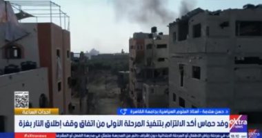 أستاذ علوم سياسية: مصر شريك أساسى فى وقف إطلاق النار وليست مجرد وسيط