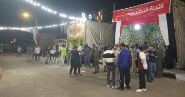 إقبال كبير على لجان الانتخابات البرلمانية بالمنوفية خلال الفترة المسائية