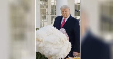 ترامب يعفو عن ديك رومى بمناسبة عيد الشكر