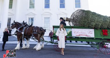 ميلانيا ترامب تستقبل شجرة عيد الميلاد الرسمية للبيت الأبيض.. صور 