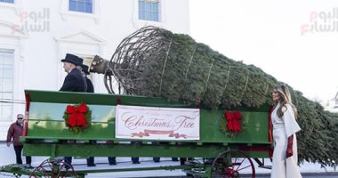 العالم هذا المساء.. ميلانيا تستقبل شجرة عيد الميلاد الرسمية للبيت الأبيض.. وترامب يحتفل بعيد الشكر بالعفو عن ديك رومي في حفل بحديقة الورود.. ونائبة أسترالية تثير الجدل بعد ارتدائها النقاب داخل مجلس الشيوخ