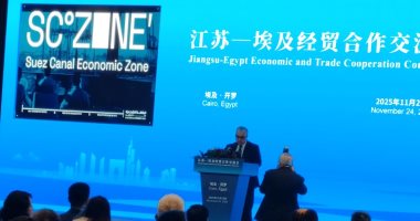 11.6 مليار دولار استثمارات بالمنطقة الاقتصادية لقناة السويس.. 80% منها أجنبي