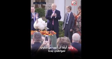 ترامب يستضيف ديك رومى فى البيت الأبيض ويقرر عدم ذبحه احتفالا بعيد الشكر.. فيديو