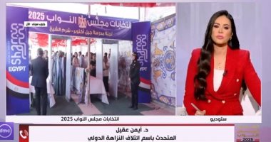 ائتلاف نزاهة: نرصد انتخابات مجلس النواب من خلال 34 متابعا دوليا