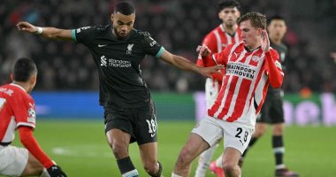5 معلومات تهمك عن مباراة ليفربول ضد أيندهوفن في دوري أبطال أوروبا