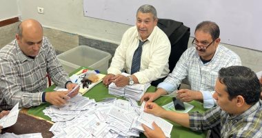 فرز الأصوات داخل اللجان الفرعية بمحافطة الدقهلية.. فيديو وصور