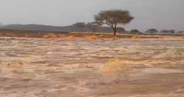 سيول جارفة فى برنيس والشيخ الشاذلى بمرسى علم.. صور