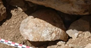 دراسة حديثة تكشف أساليب الغزو الرومانية الوحشية منذ ألفى عام