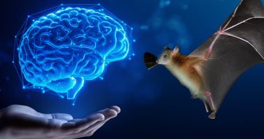 بعد اكتشاف لغة الأسود.. الـ AI يفتح الباب لفهم لغات الحيوانات - اليوم السابع