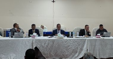 بالأرقام.. الحصر العددي للأصوات بالدائرة الثالثة بمحافظة الإسماعيلية