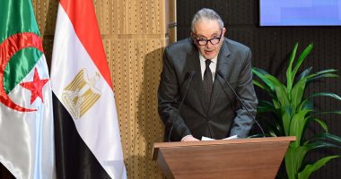أحمد الوكيل: نهدف لشراكة حقيقية بين مصر والجزائر تُنمي شعبينا ودولتينا
