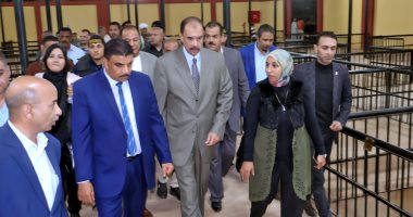 محافظ سوهاج يفتتح سوق المنشاة الحضرى الجديد على مساحة 960 مترا