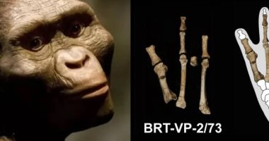 ليست فقط لوسى.. قدم غامضة عمرها 3.4 مليون سنة تكشف عن نوع بشري آخر