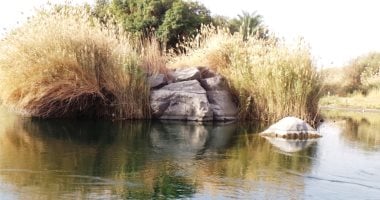 لوحات الجزر النيلية فى قلب أسوان سحر صاغته ملايين السنين.. مشاهد الصخور الجرانيتية تكشف أسرار تكوّن الجنوب وجماله الفريد.. رحلات النيل بوابة الزائرين لاكتشاف تاريخ الأرض بين خزان أسوان والسد العالى.. صور