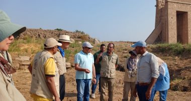 جانب من عمل البعثة